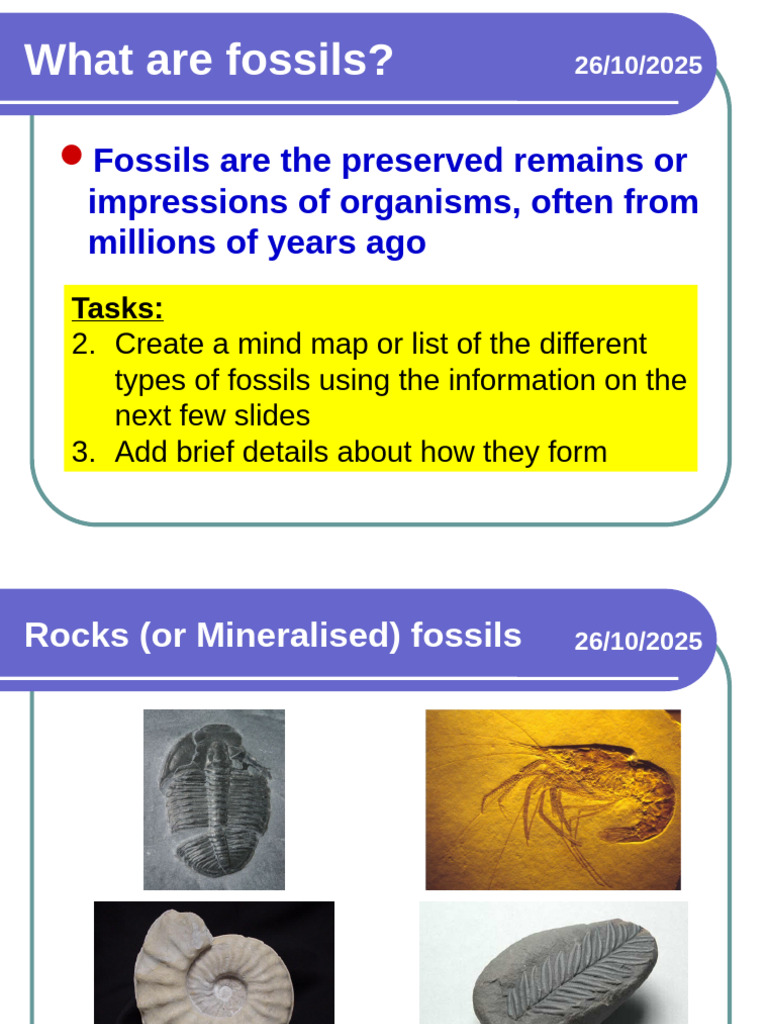 07 - Using Evidence From Fossils | PDF