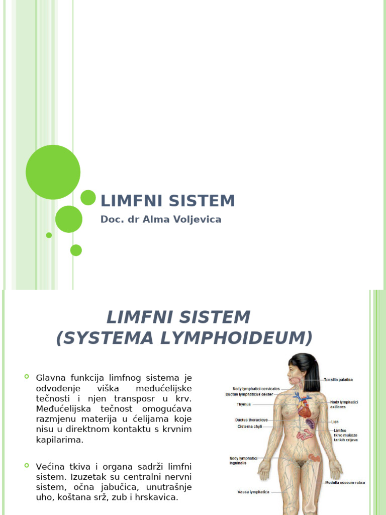 Limfa Organa | PDF