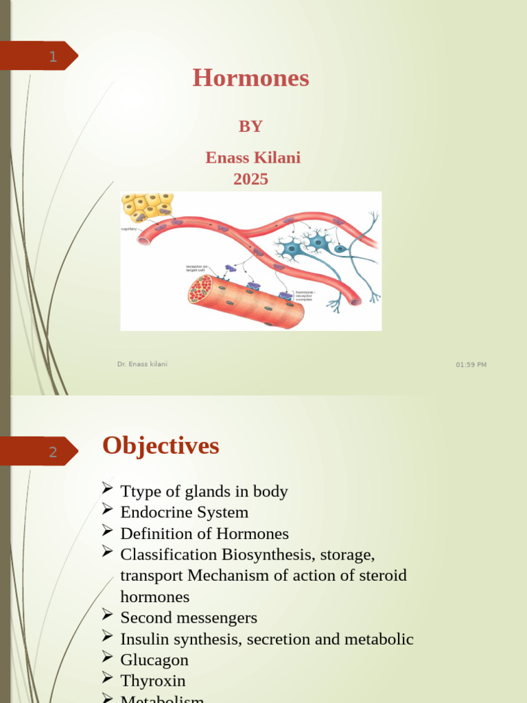 Endocrine System and Hormone Functions | PDF | Endocrine System | Insulin
