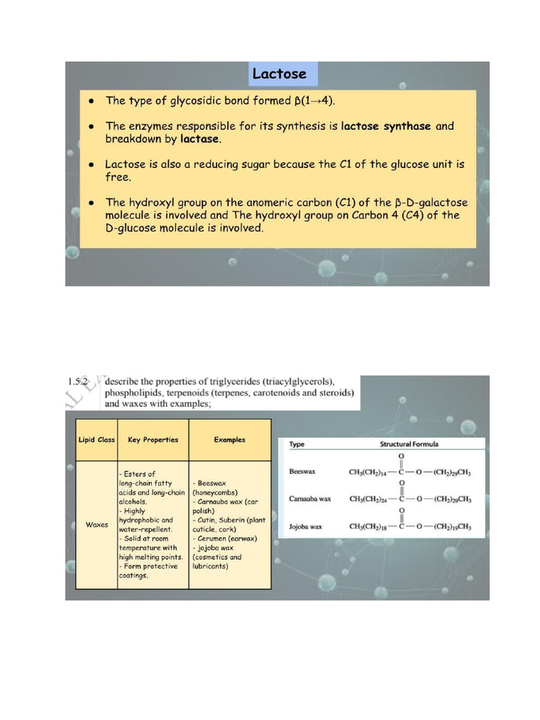 Lactos | PDF