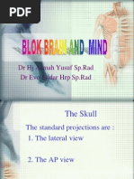 Download Blok Brain and Mind 1 by Dandeeliion Batubara Shi Nyot SN93856443 doc pdf