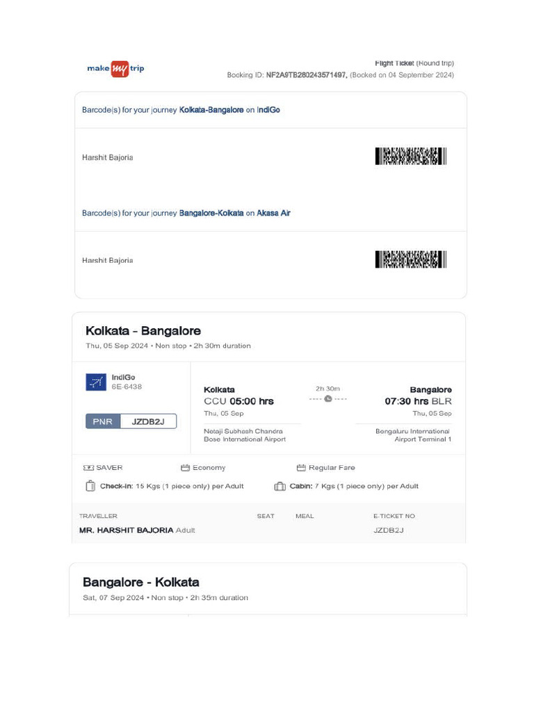 Fligght Ticket | PDF