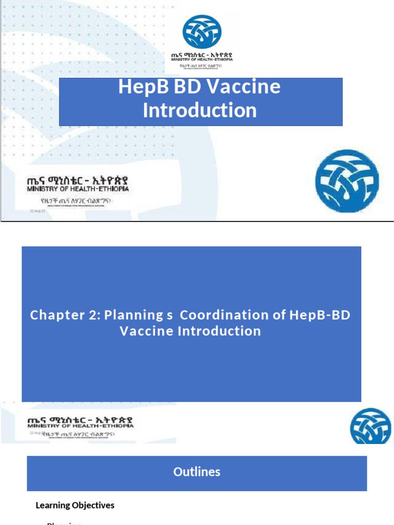 HepB BD Vaccine Planning and Coordination | PDF | Vaccines | Hepatitis B