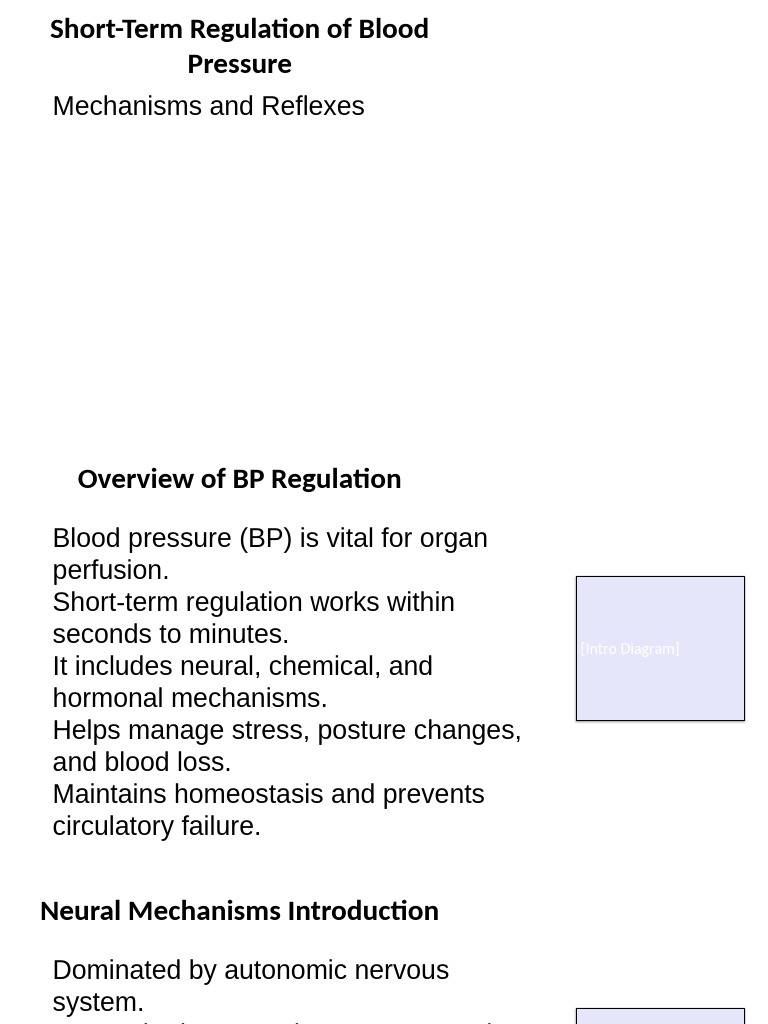 Short-Term Blood Pressure Regulation | PDF | Physiology ...