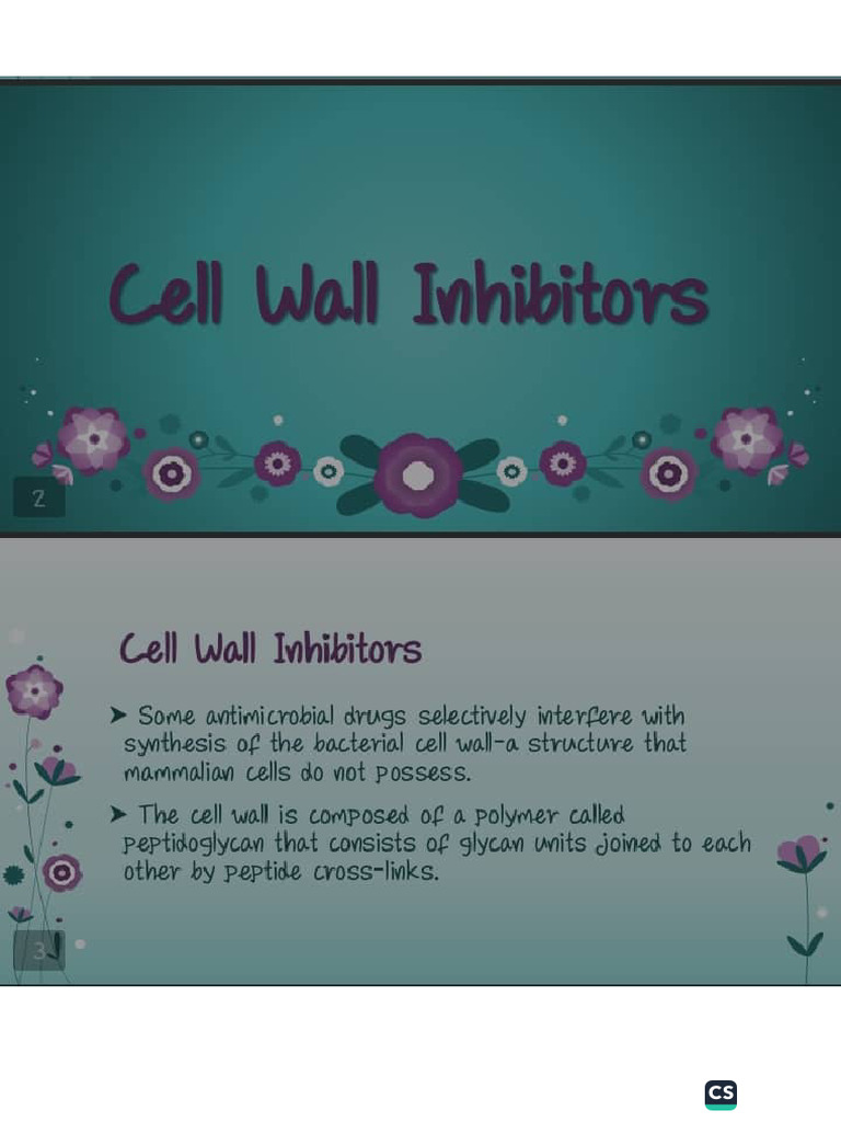 Cell Wall Inhibitors | PDF