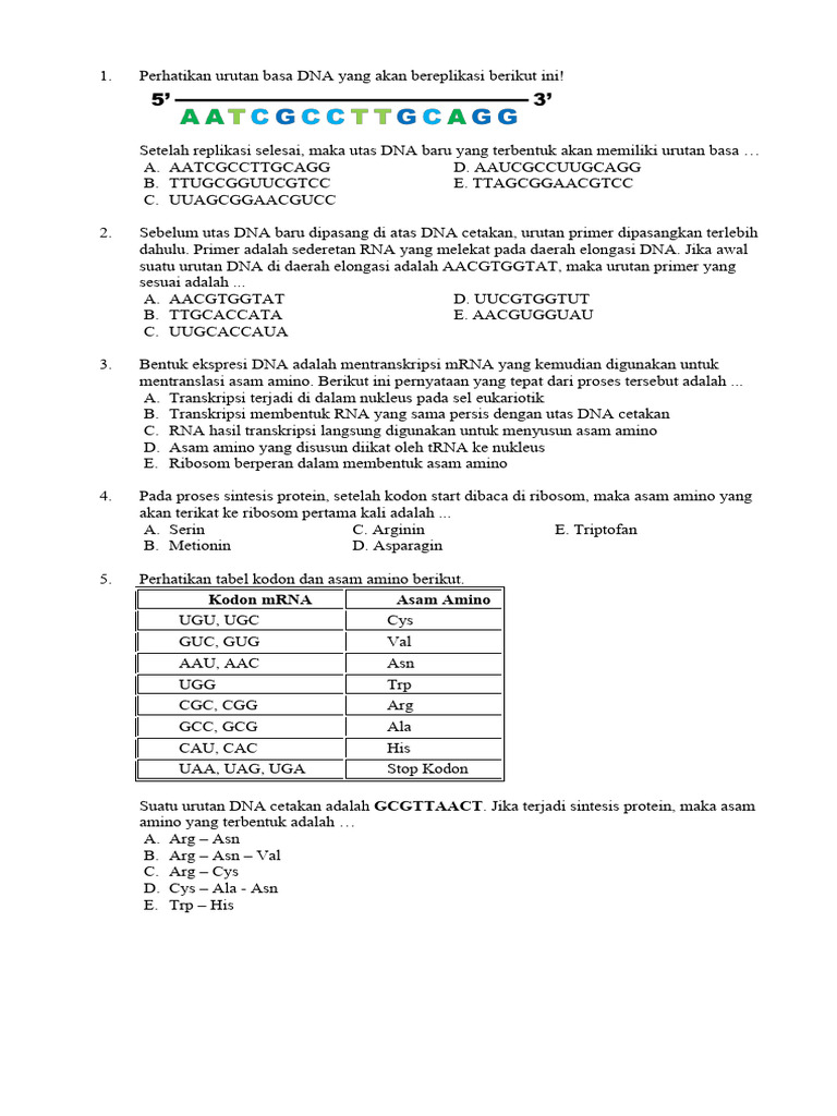 Latihan Soal Sintesis Protein | PDF