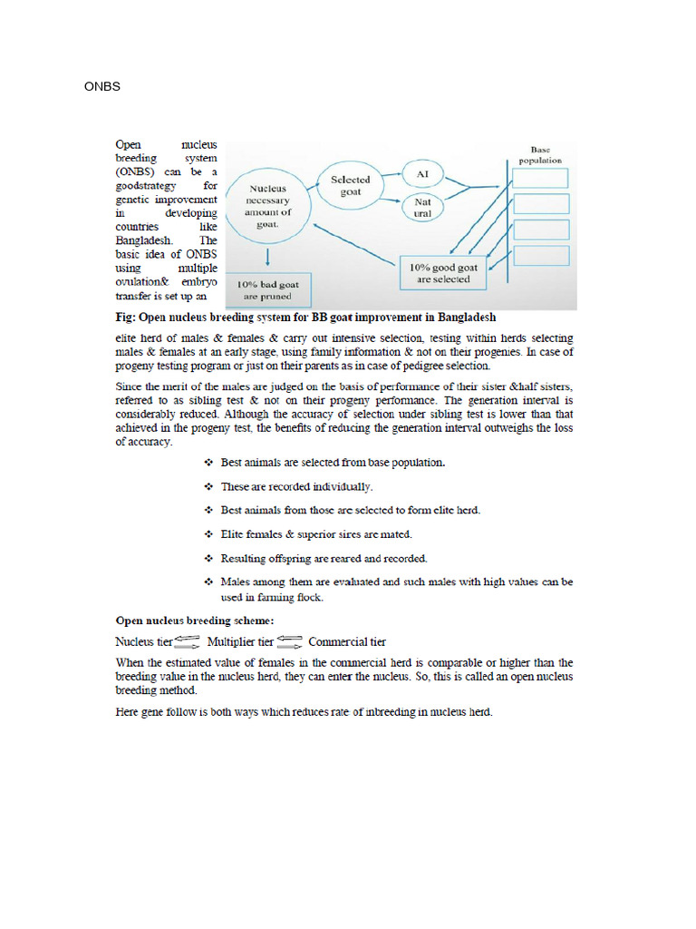 ONBS | PDF