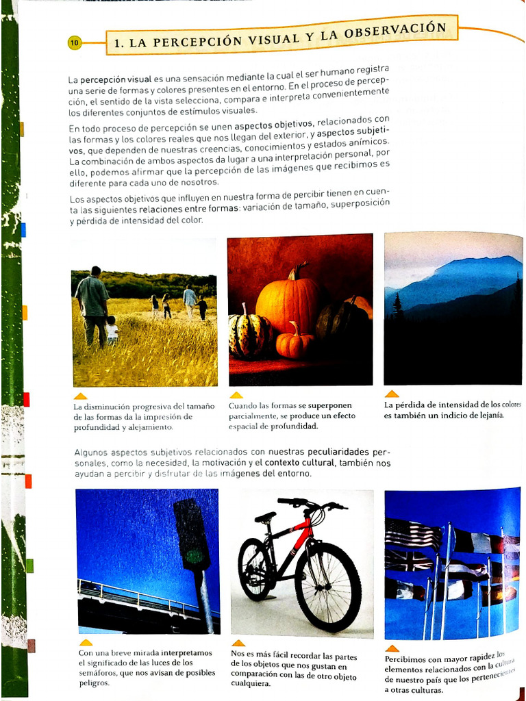 Tema 2. Percepción y Lectura de Imágenes | PDF