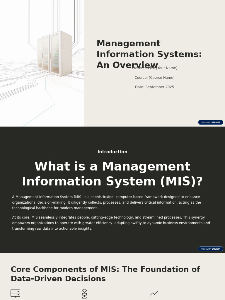 Overview of Management Information Systems | PDF | System | Information
