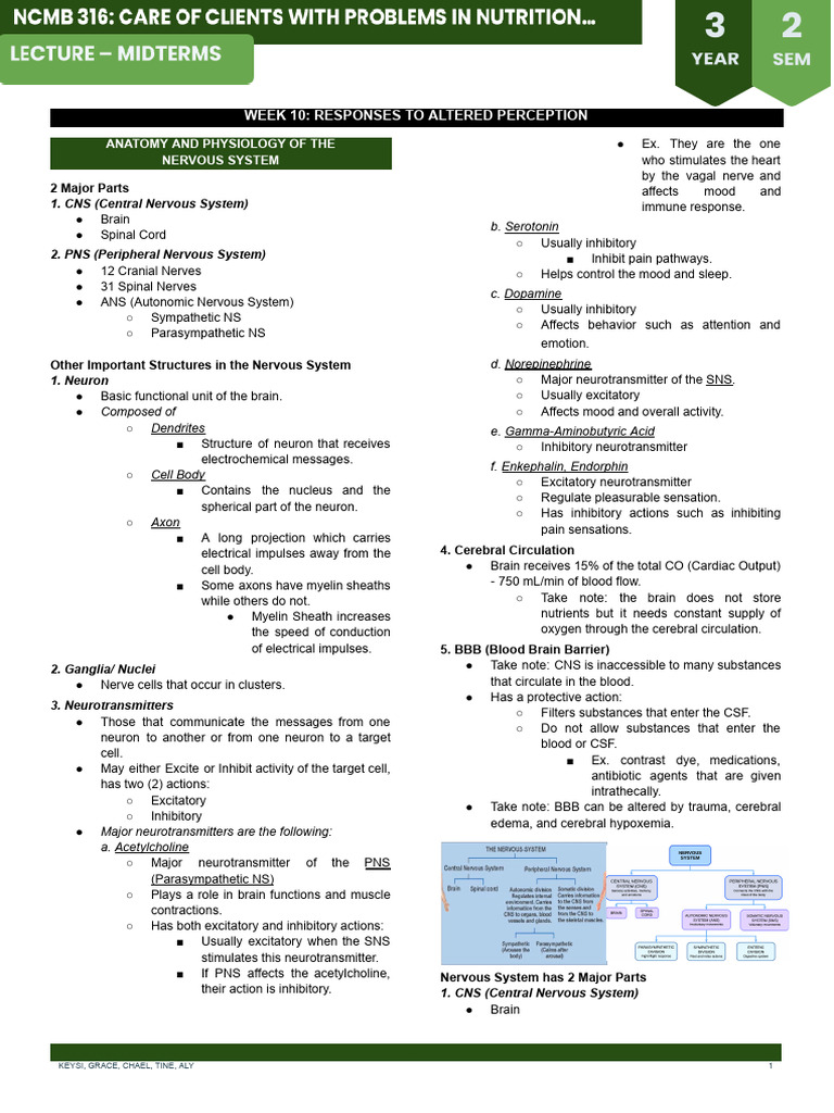 NCMB 316 Week 10 | PDF | Nervous System | Autonomic Nervous System
