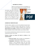 Lesiones de Tendon Rotuliano