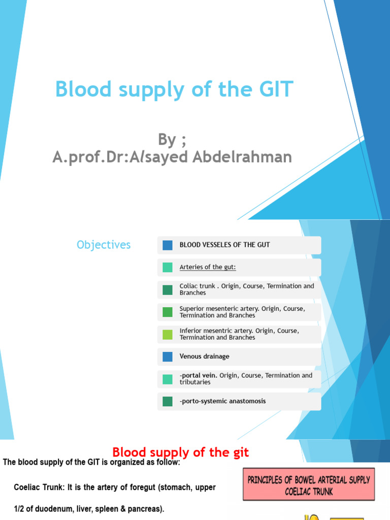 Blood Supply of GIT DR Alsayed | PDF | Stomach | Large Intestine