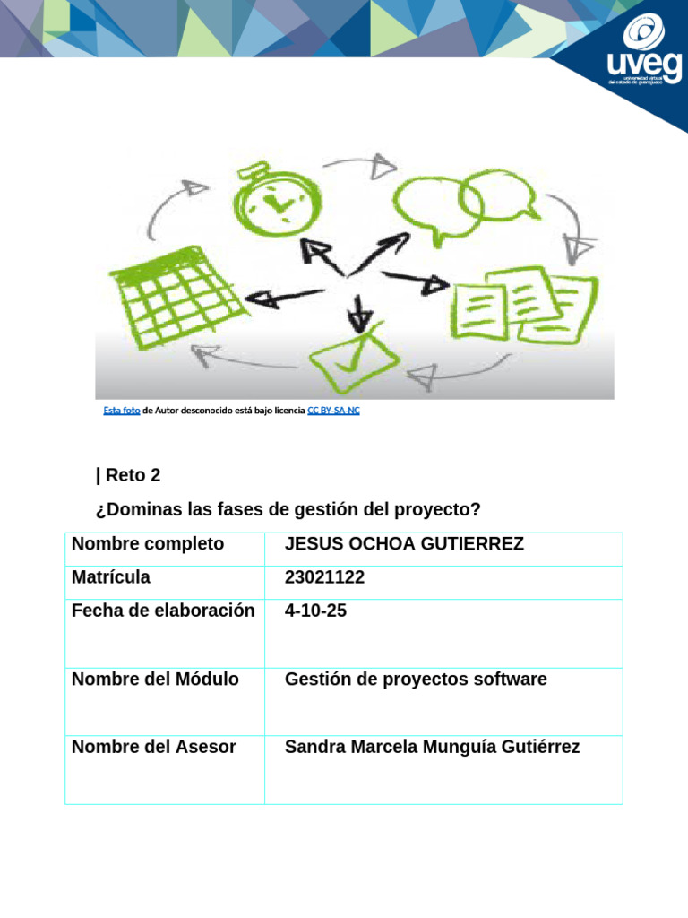 Errores Comunes en Gestión de Proyectos | PDF | Software | Informática