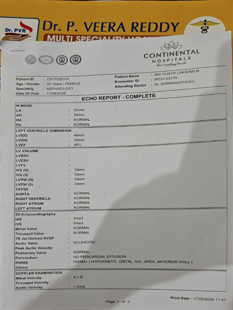 2D Echo Report | PDF