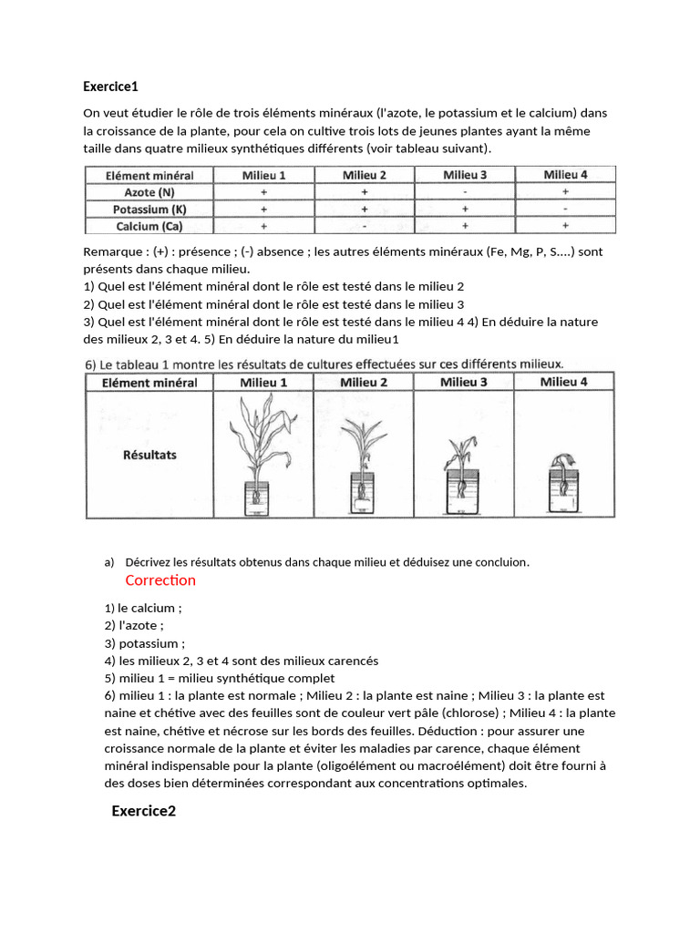 Rôle des minéraux dans la croissance des plantes | PDF
