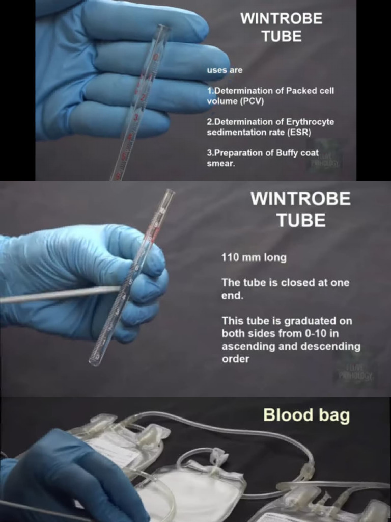 Pathology Instruments and Specimens | PDF