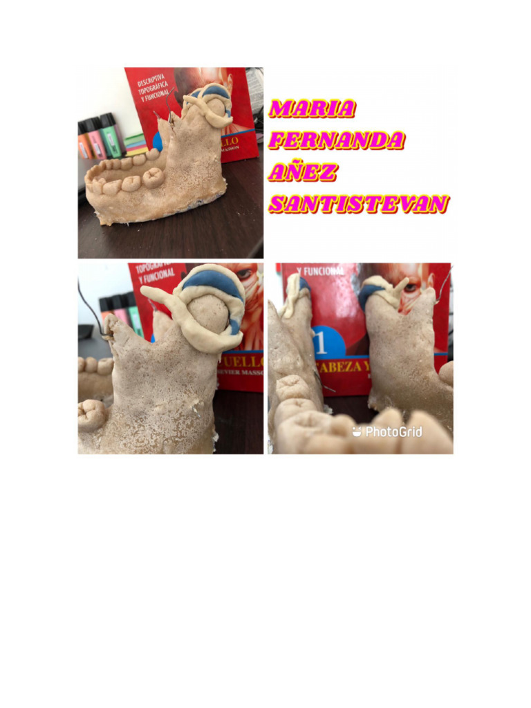 Atm Maria Fernanda Añez Santistevan | PDF