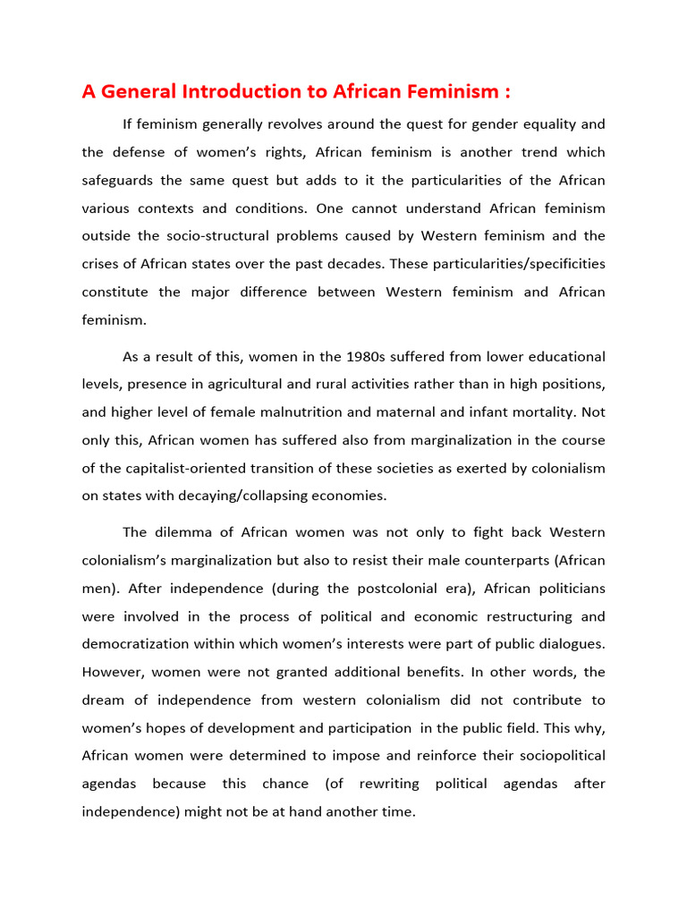 INTRO T African Feminism | PDF | Gender Studies | Feminism