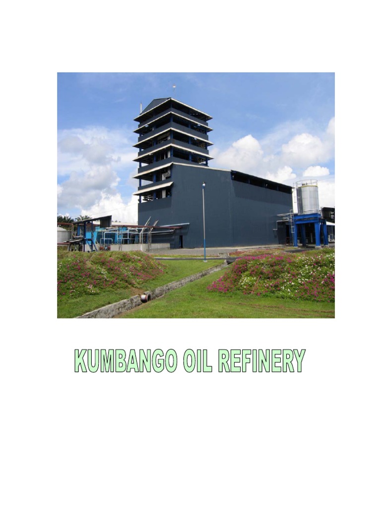 Palm Oil Refining Process Overview | PDF