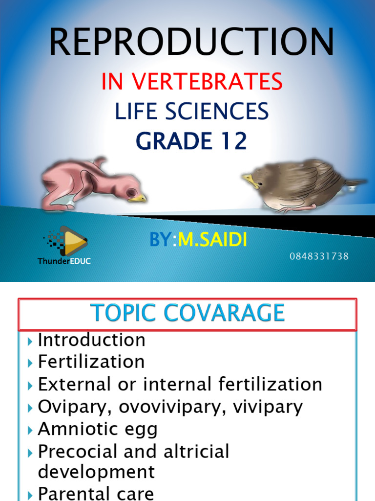 Vertebrate Reproduction Strategies Explained | PDF | Egg | Fertilisation