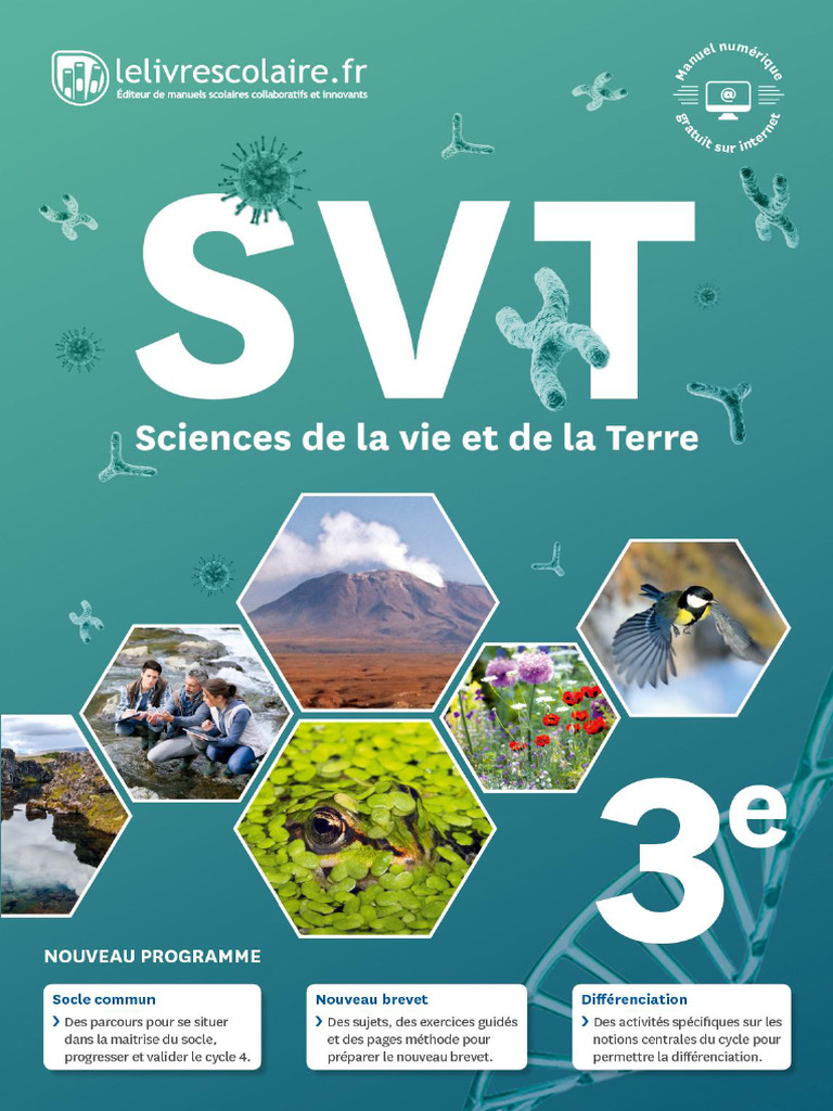 2 SVT 3e | PDF