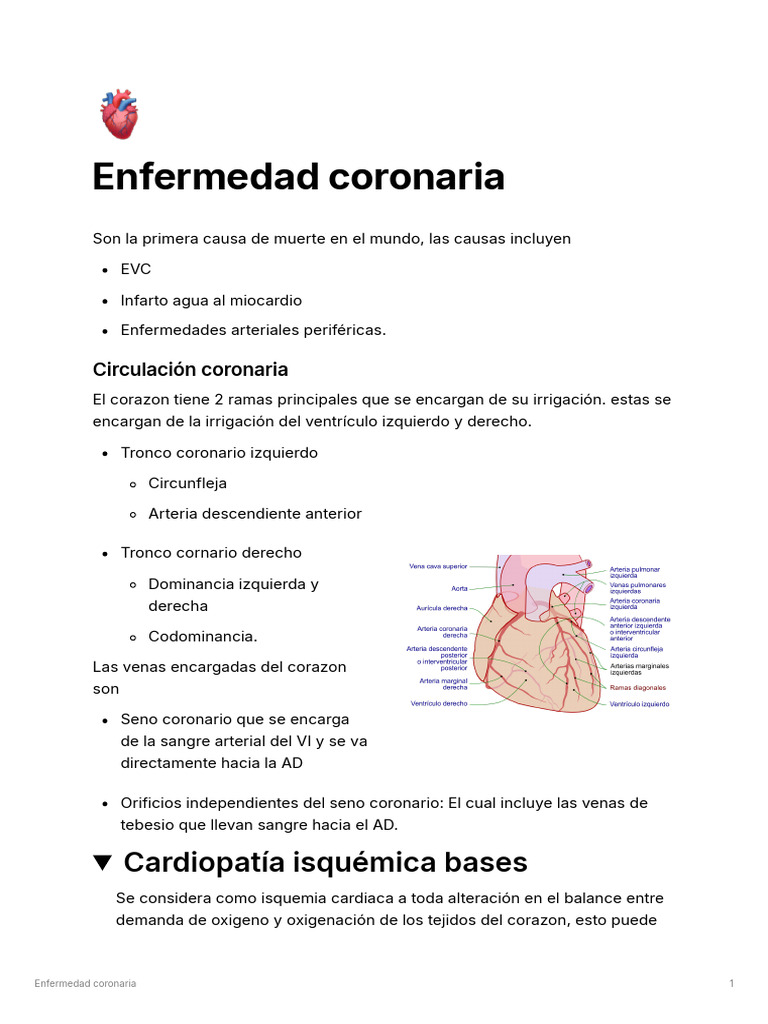 Causas y Diagnóstico de Enfermedad Coronaria | PDF | Infarto de ...
