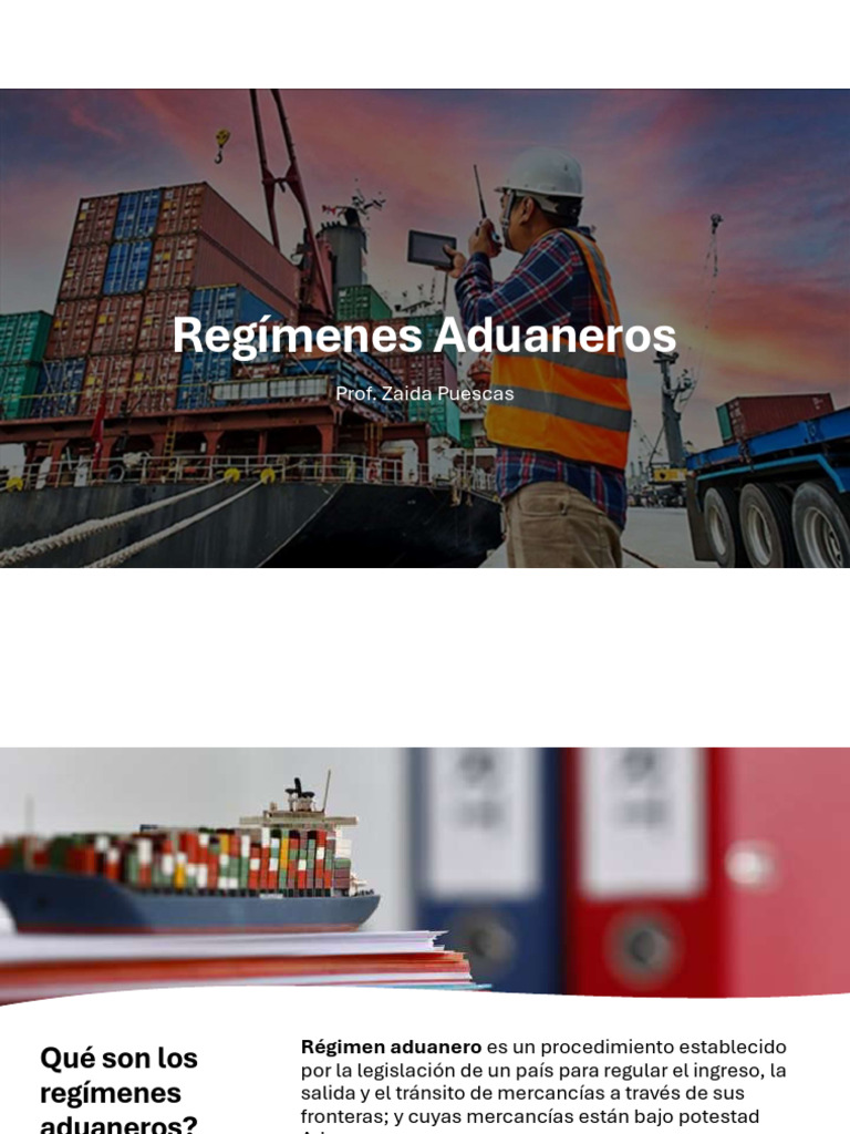 Guía Completa de Regímenes Aduaneros | PDF | aduana | Arancel