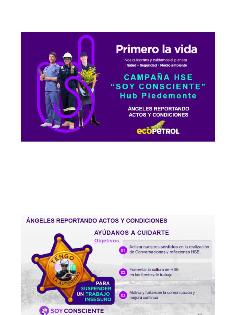 Campaña Angeles Reportando | PDF