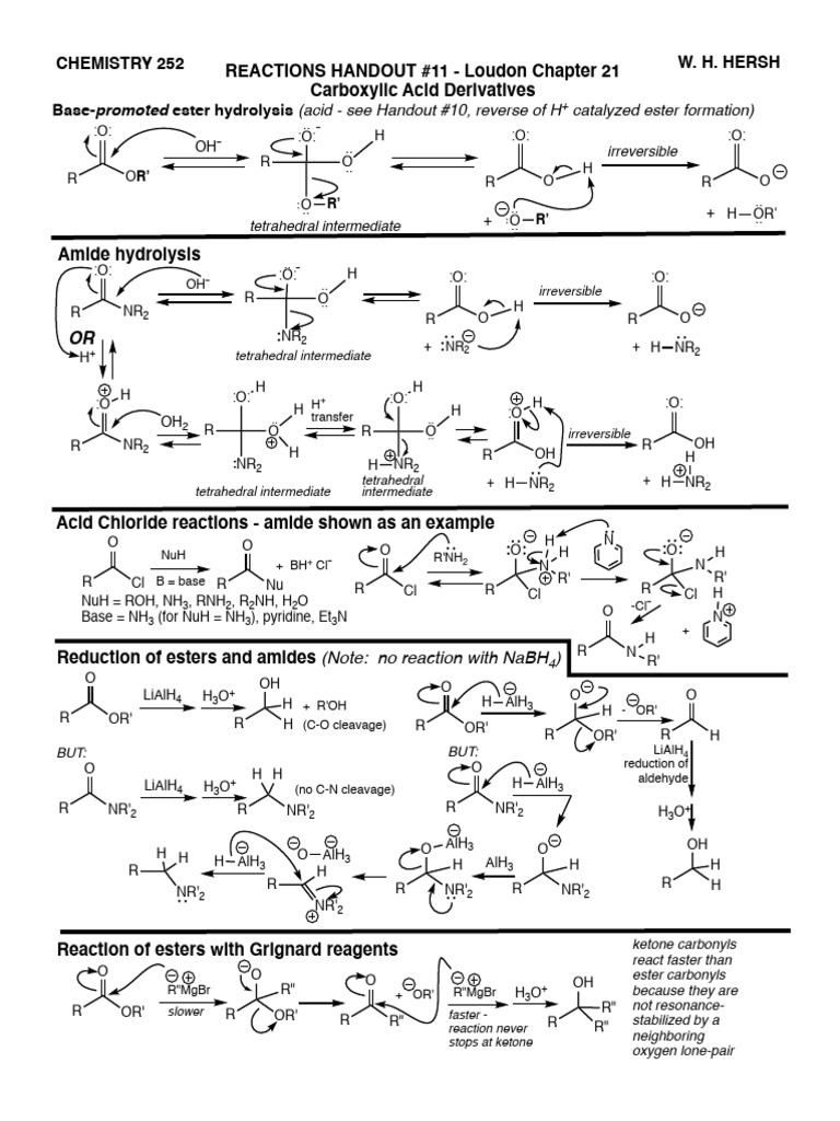 11 Loudon CHP 21 RCO2H Deriv Reac Handout | PDF | Ester | Amide