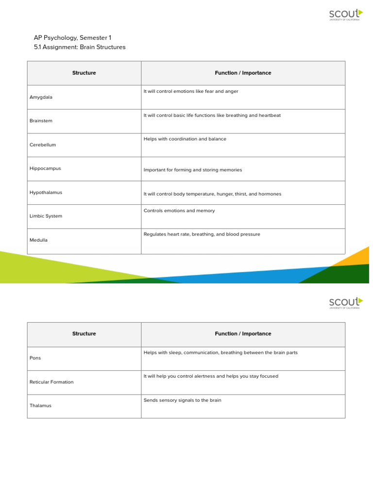 5.1 Assignment Template - Brain Structures Chart | PDF