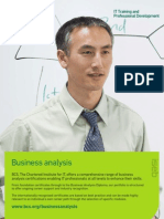 Business Analysis Career Path