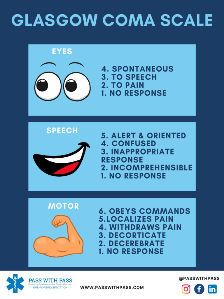 Glasgow Coma Scale Overview | PDF