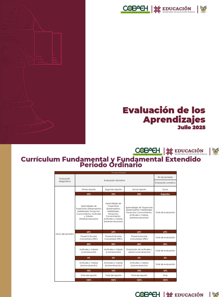Lineamientos Evaluación 2025 | PDF | Evaluación | Teoría de la educación