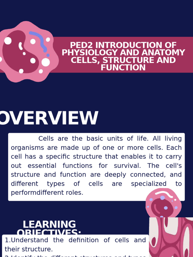 Introduction to Cell Structure & Function | PDF | Cell (Biology ...