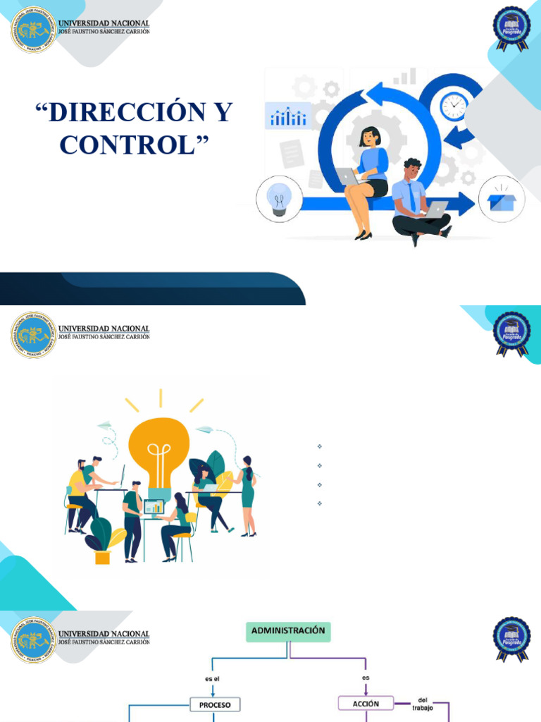 Dirección y Control | PDF | Business