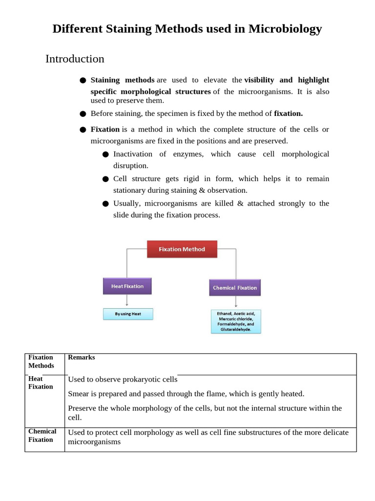 Overview of Microbiology Staining Methods | PDF | Staining | Fixation ...