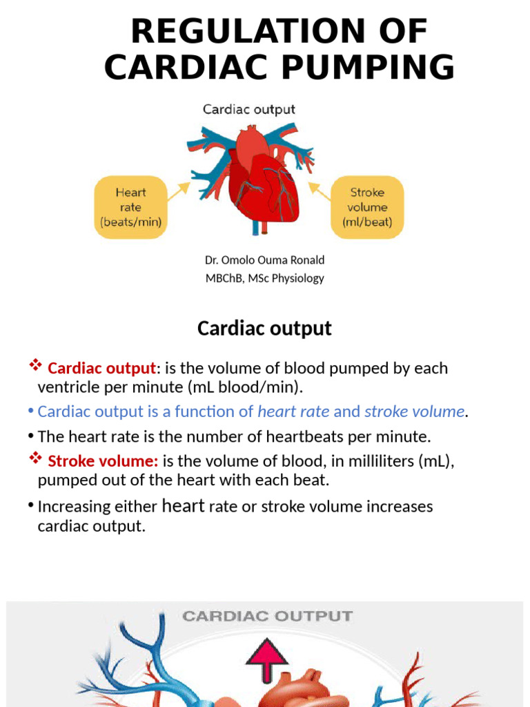 LECTURE 4 Regulation of Cardiac Pumping | PDF | Heart | Heart Rate