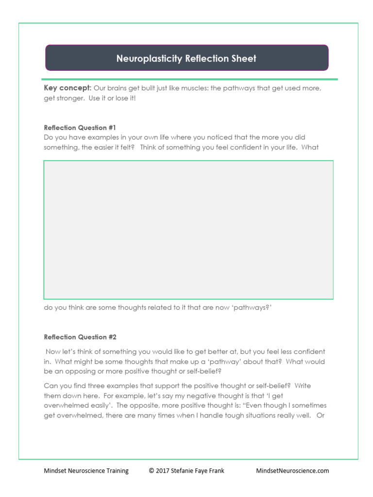 Reflection Sheet Neuroplasticity | PDF