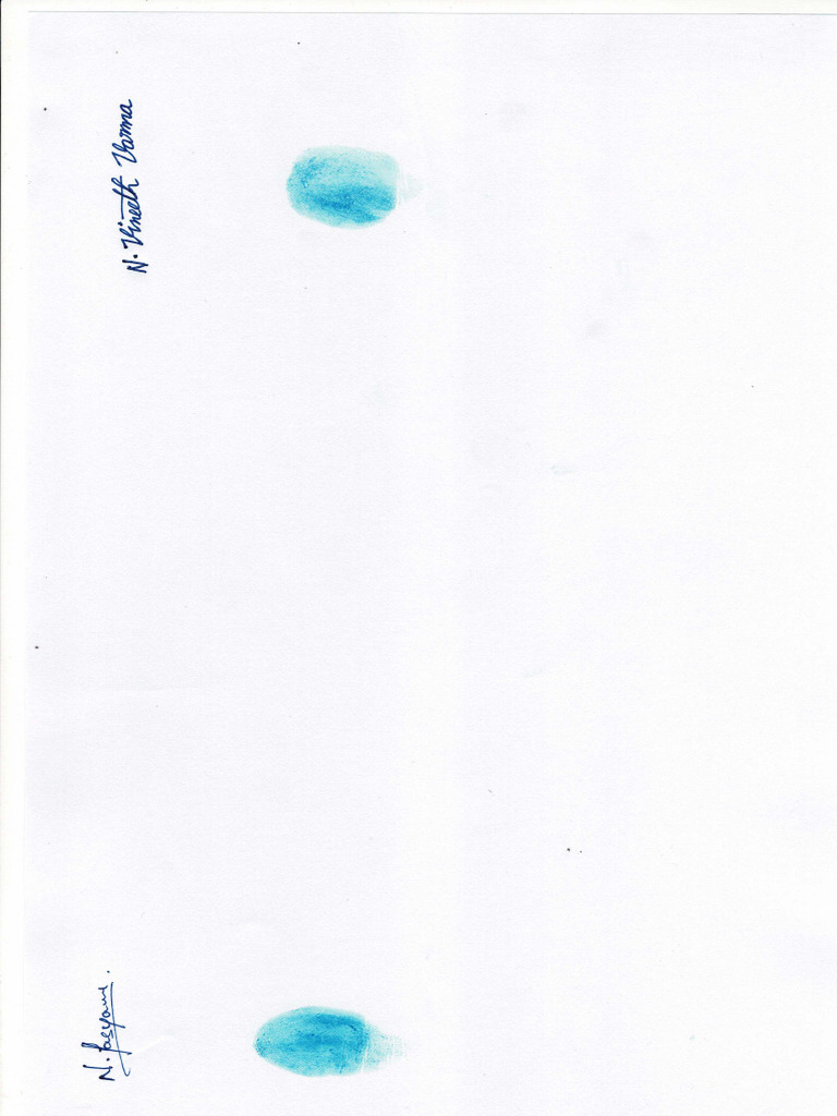 Sign Scan | PDF