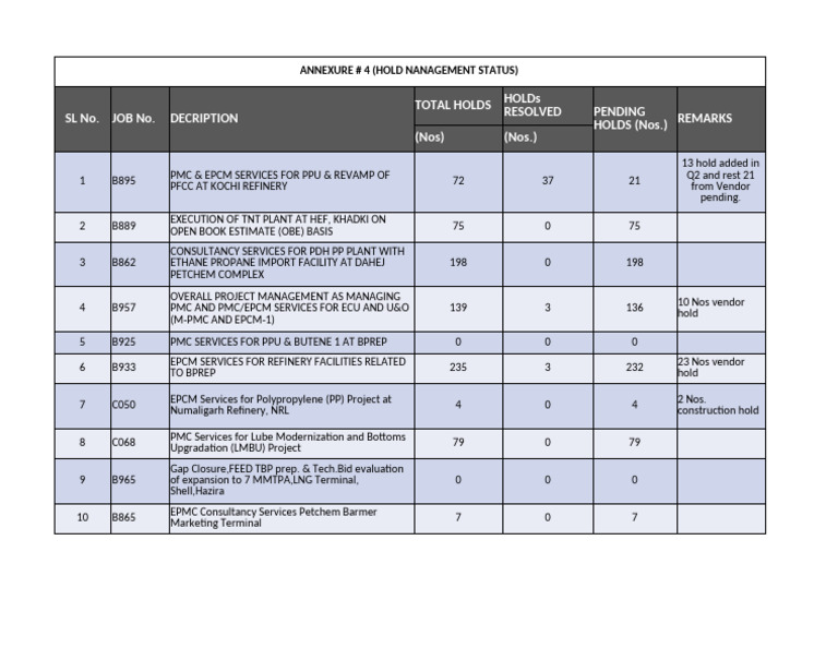 Hold Management Status Report | PDF | Hydrocarbons | Fossil Fuels