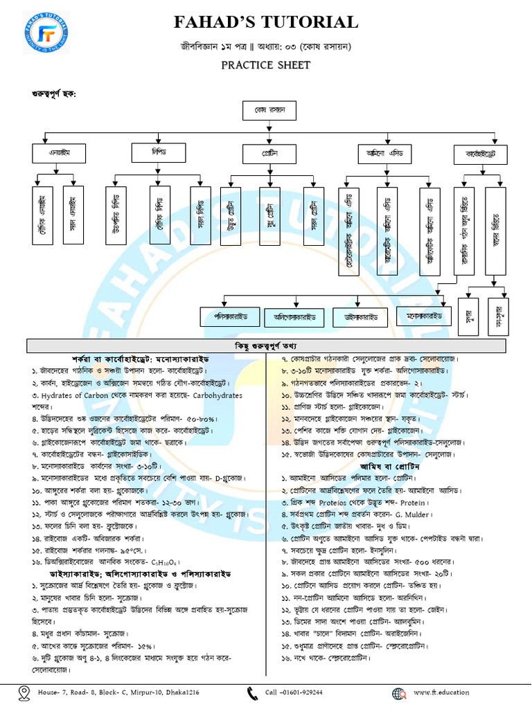 Chapter-3 Updated Practice Sheet | PDF