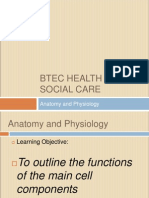 Btec Health & Social Care: Anatomy and Physiology