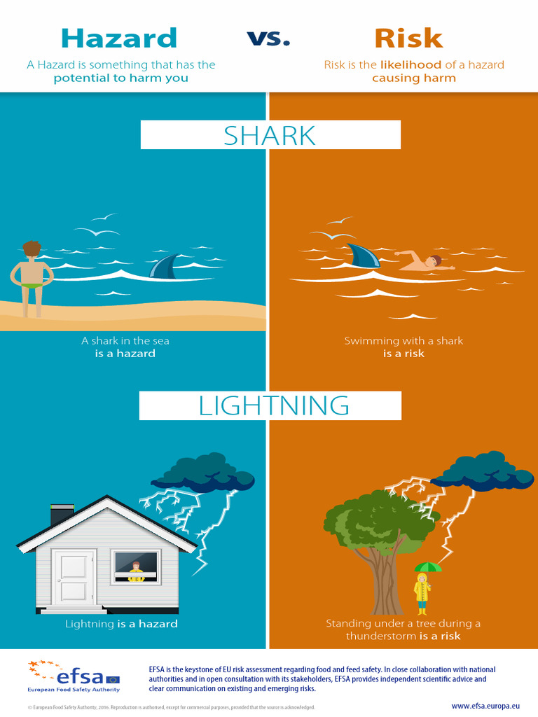 Understanding Hazards and Risks | PDF
