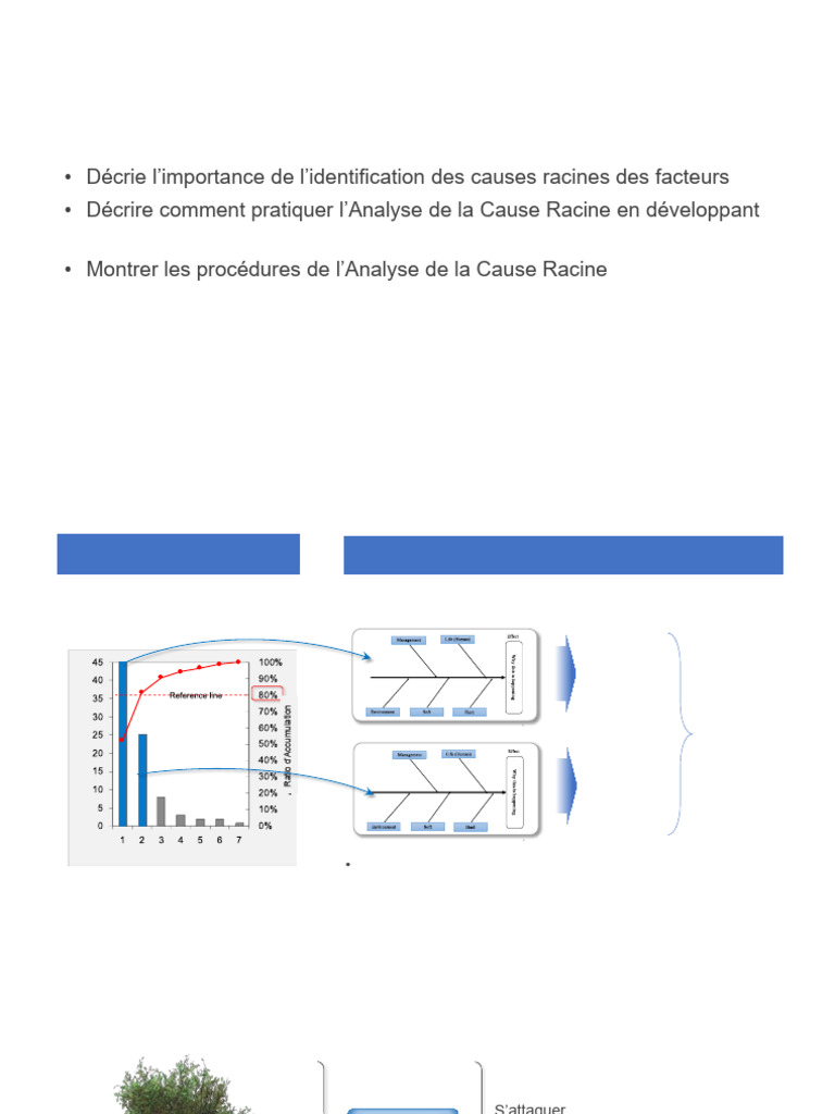 Analyse de la Cause Racine avec Diagramme Fishbone | PDF ...