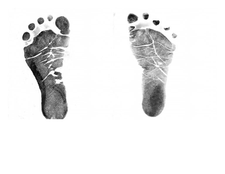 Footprints | PDF