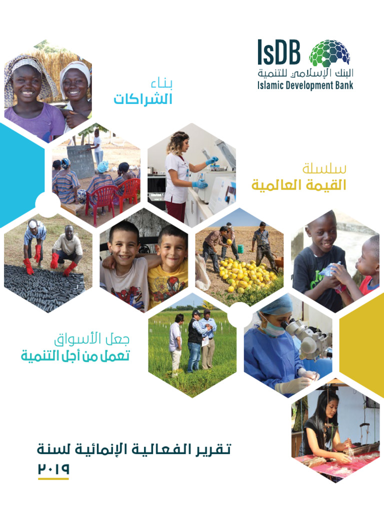Isdb Efectiveness Report Arabic | PDF