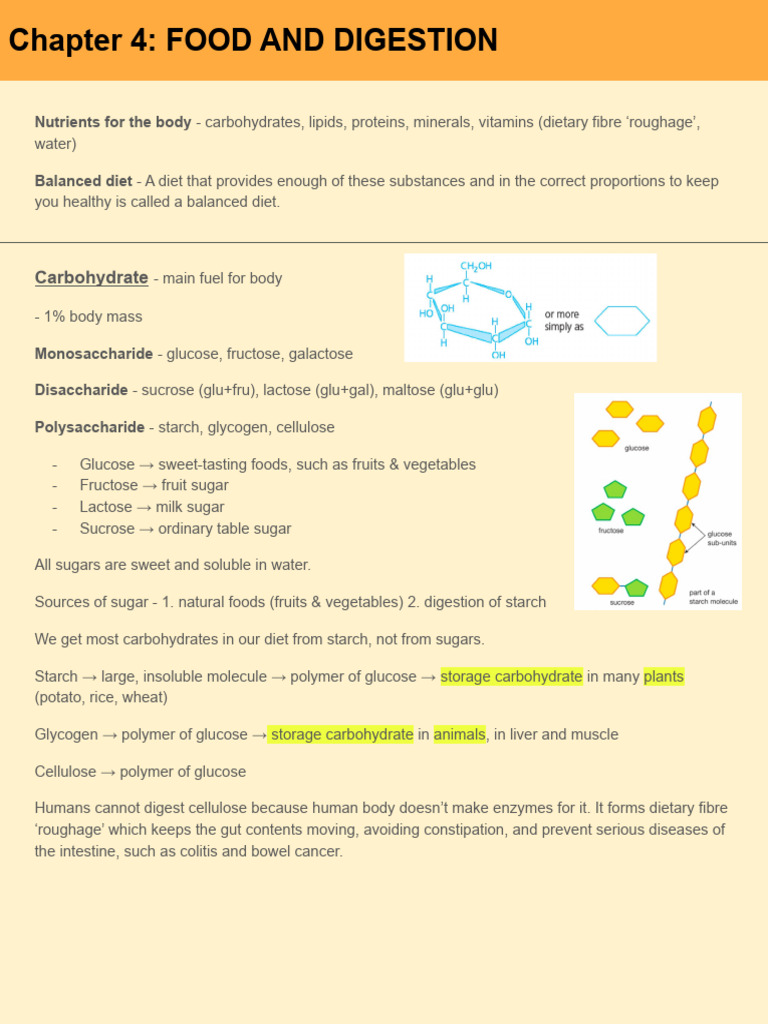 Essential Nutrients and Digestion Guide | PDF | Carbohydrates | Digestion
