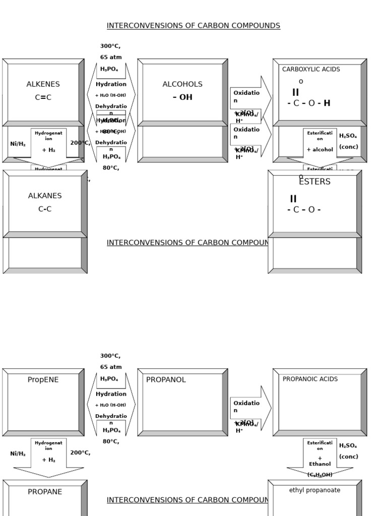 Carbon Compounds - Interversion | PDF | Ethanol | Chemistry