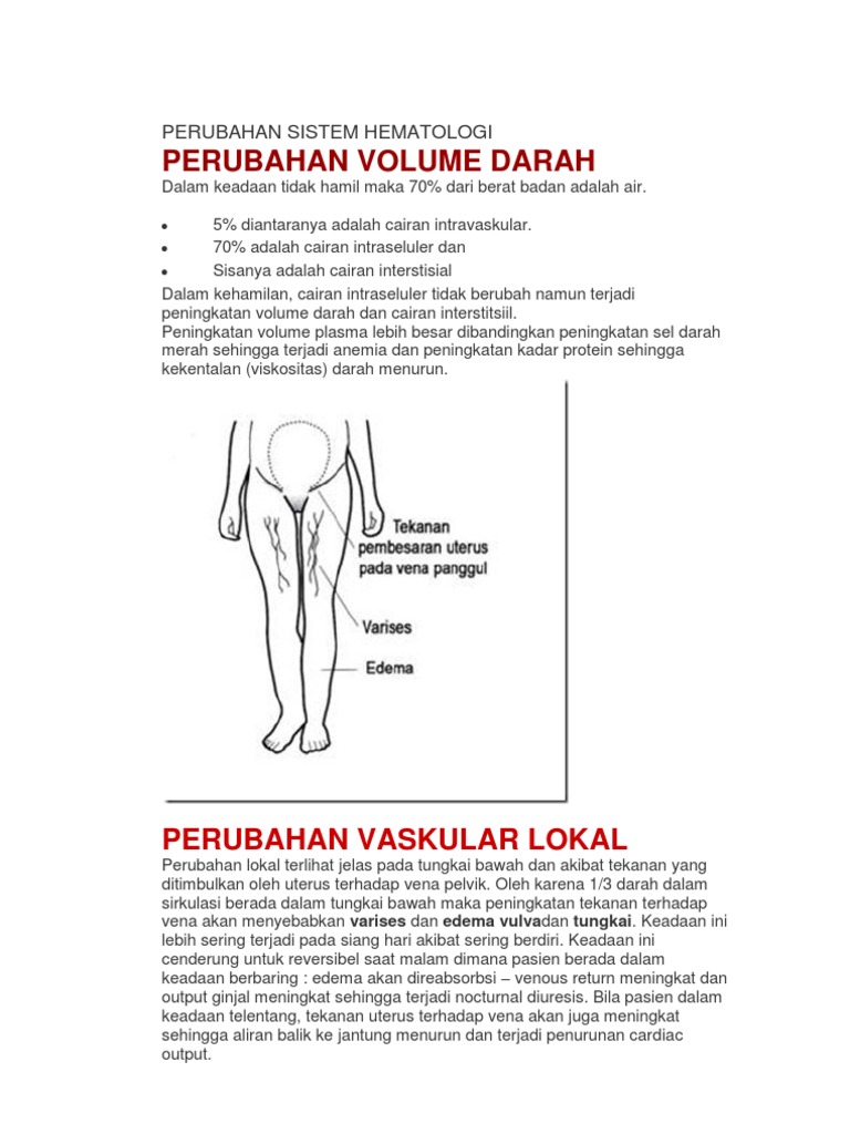 Perubahan Sistem Hematologi