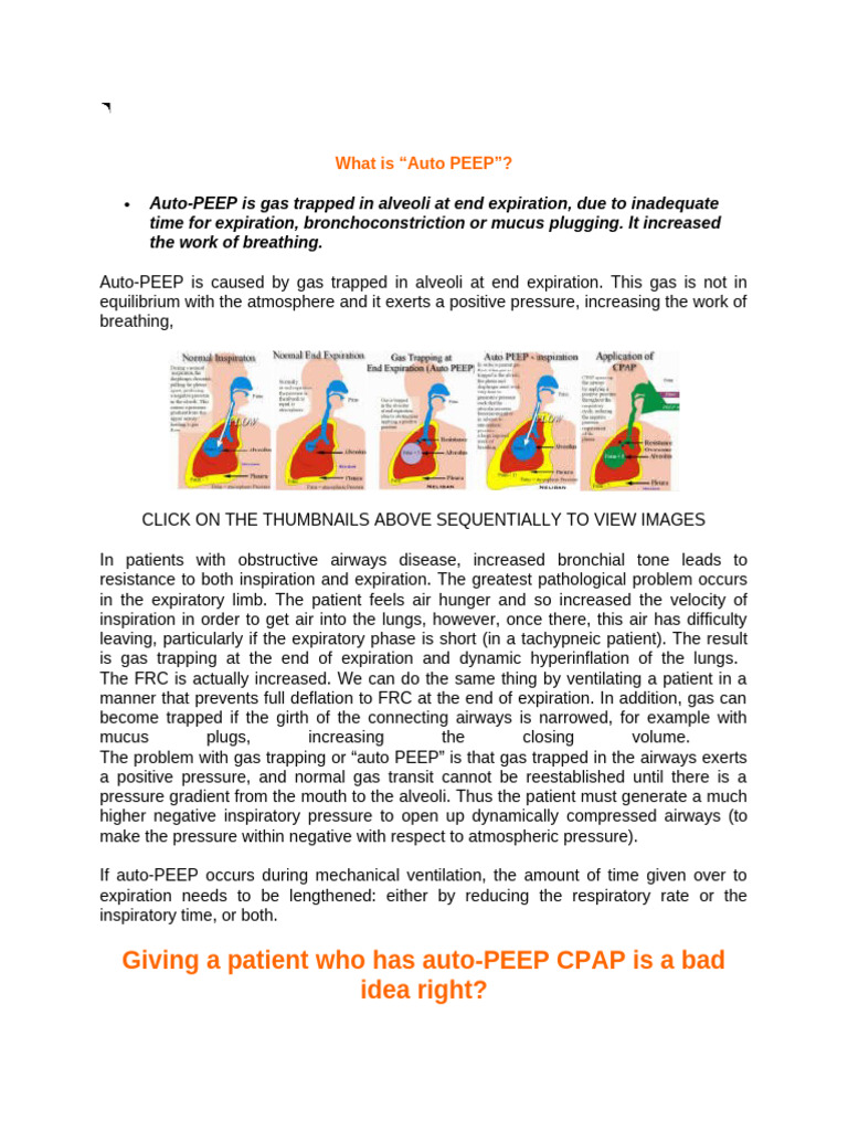 Understanding Auto PEEP in Ventilation | PDF | Respiratory Tract | Lung